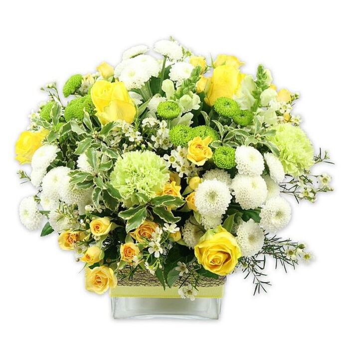 A beautifully balanced bouquet overflows from a clear, rectangular glass vase, its domed shape composed of sunny yellow, crisp white, and vibrant green blooms that look freshly arranged for a De Beauvoir Town townhouse table. At the forefront are classic yellow roses, their velvety petals arranged in generous spirals, some fully unfurled, others only just beginning to open. They are joined by clusters of yellow spray roses, each stem carrying several small blossoms that lend a soft, garden-like abundance. Nestled around them, dense white pompom chrysanthemums form neat, spherical cushions, their countless tiny petals giving a plush, cloud-like effect that contrasts elegantly with the sharper edges of the rose petals. Among these are bright lime-green button chrysanthemums, compact and perfectly round, adding a playful pop of colour and a modern flair. Larger pale green blooms, like ruffled carnations or sophisticated green mum varieties, introduce a gentle, frilly texture, echoing the greenery of nearby De Beauvoir Crescent gardens. The arrangement is richly framed by foliage: broad variegated leaves edged in creamy white, feathery dark green sprigs, and other leafy accents that bring depth and a natural, layered look. Tiny white filler flowers, reminiscent of waxflower or gypsophila, are sprinkled throughout, breaking up the colour blocks and lending a light, airy sparkle. Around the middle of the glass vase, a band of rustic, bark-like or raffia-style material wraps snugly, over which a soft pale yellow ribbon is tied, adding an understated, handcrafted charm. Photographed against a plain white backdrop, every colour and contour is clearly defined. The overall impression is one of warmth, vitality, and quiet celebration-perfect as a centrepiece for a family gathering in De Beauvoir Town, a congratulatory gesture, or simply a way to bring a sense of fresh, joyful energy indoors.